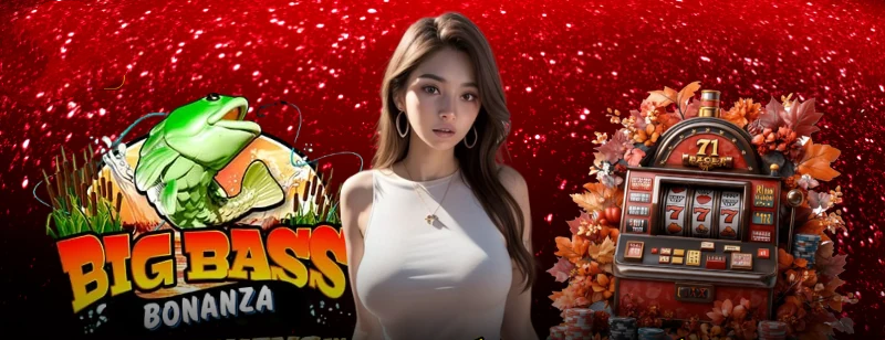 Perguntas Frequentes